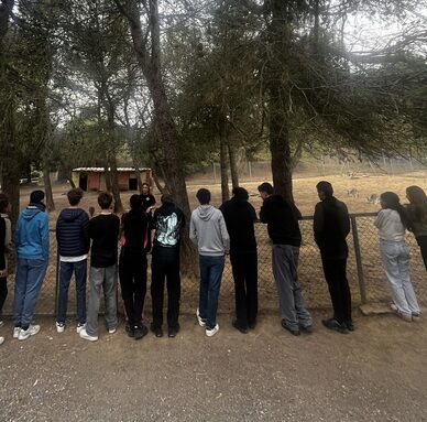 image00004 - Copie.jpeg