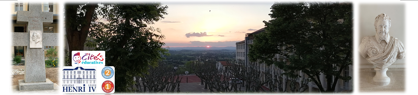 Capture d'écran 2025-03-13 170539.png